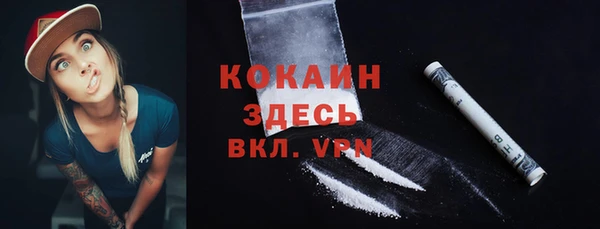 мдпв Бородино