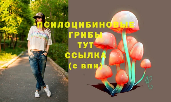 МДПВ Бугульма