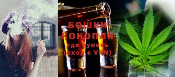 мдпв Бородино