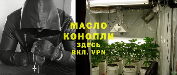 мдпв Бородино