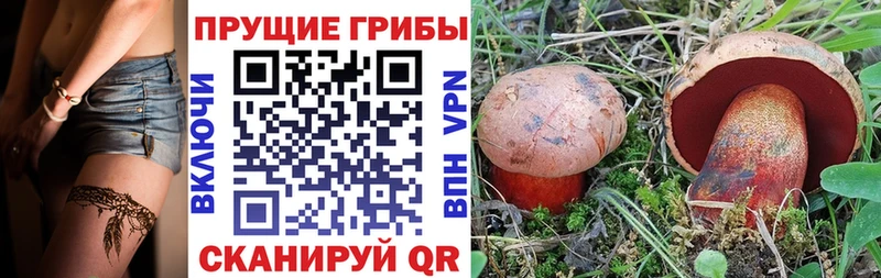 Псилоцибиновые грибы мухоморы  hydra рабочий сайт  Кингисепп 